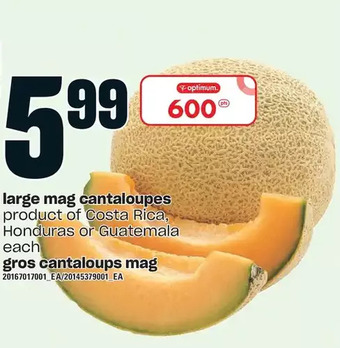 Independent Grocer Large mag cantaloupes offer