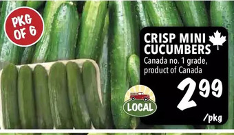Farm Boy Crisp mini cucumbers offer