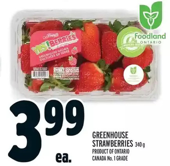 Metro Greenhouse strawberries offer
