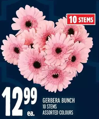 Metro Gerbera bunch offer