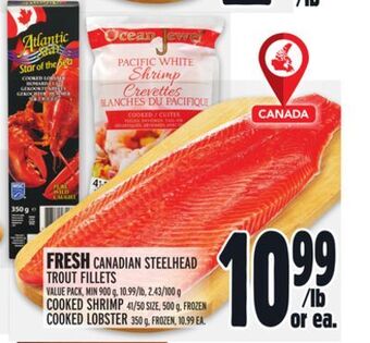 Metro Fresh canadian steelhead trout fillets offer