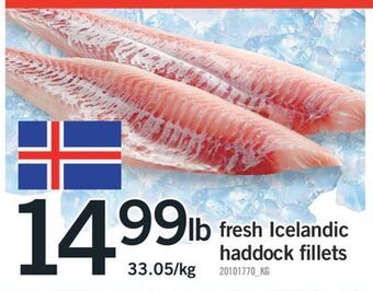 Fortinos Fresh icelandic haddock fillets offer