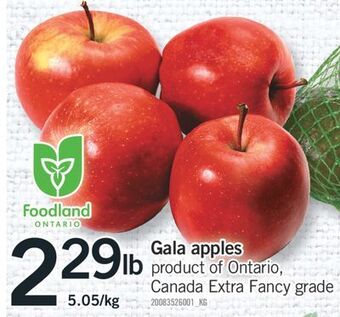 Fortinos Gala apples offer