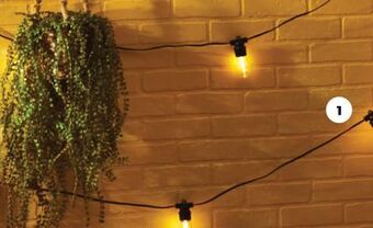 Real Canadian Superstore Life at home® outdoor plug-in led edison bulb string light, 15's offer