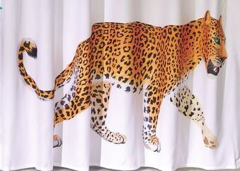 Giant Tiger Shower curtain offer