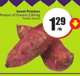 Chalo FreshCo Sweet potatoes product of ontario 2.84/kg offer