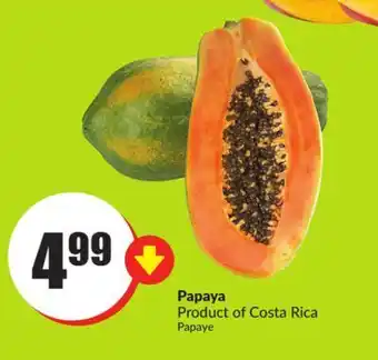 Chalo FreshCo Papaya product of costa rica offer