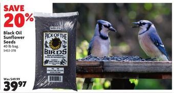 Home Hardware Black oil sunflower seeds offer
