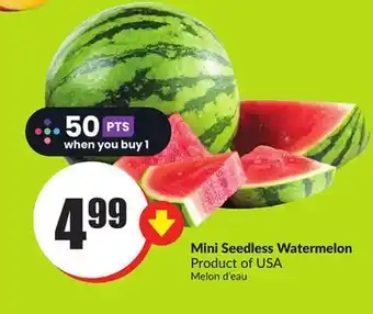 Chalo FreshCo Mini seedless watermelon product of usa offer