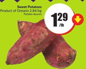 FreshCo Sweet potatoes product of ontario 2.84/kg offer
