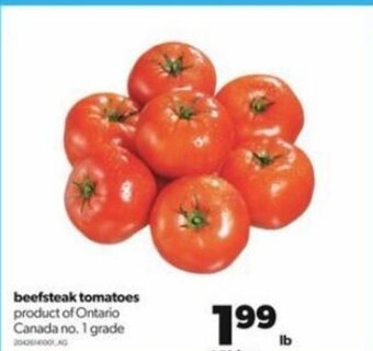 Real Canadian Superstore Beefsteak Tomatoes offer