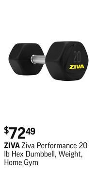 Sport Chek Ziva performance 20 lb hex dumbbell, weight, home gym offer