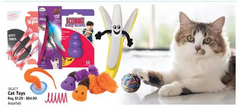 Ren’s Pets Depot Cat toys offer