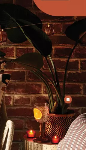 Loblaws Life at home faux banana plant offer