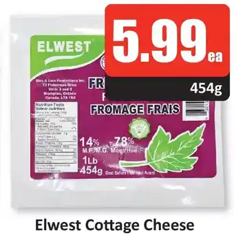 Starsky Elwest cottage cheese offer