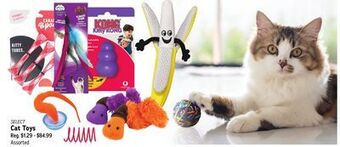 Ren’s Pets Depot Select cat toys offer