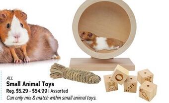 Ren’s Pets Depot All small animal toys offer