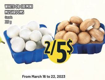 Marché Adonis White or cremini mushrooms offer