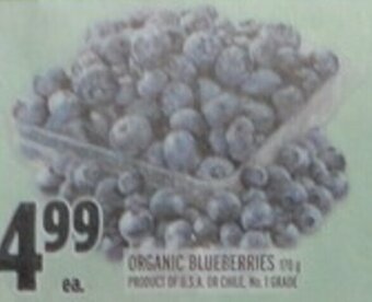 Metro Organic Blueberries offer