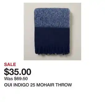 Chapters Indigo Indigo 25 mohair throw offer