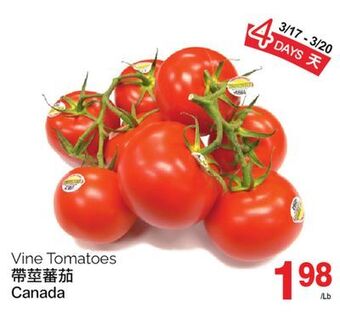 T&T Supermarket Vine tomatoes offer