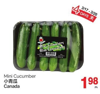 T&T Supermarket Mini cucumber offer