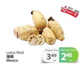 T&T Supermarket Lotus root offer