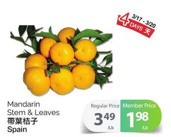 T&T Supermarket Mandarin stem & leaves offer