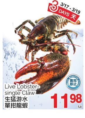T&T Supermarket Live lobster-single claw offer
