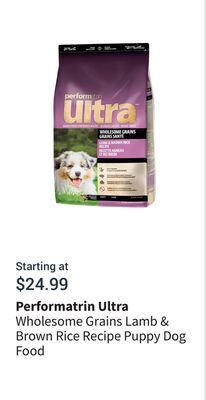 Petvalu Wholesome grains lamb & brown rice recipe puppy dog food offer