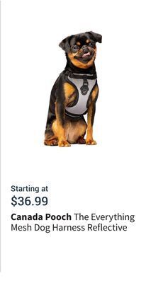 Petvalu The everything mesh dog harness reflective offer