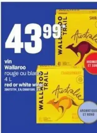 Provigo Vin Wallaroo Red or White Wine 4L offer