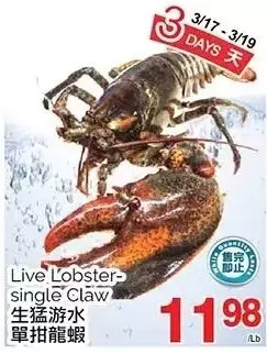 T&T Supermarket Live lobster-single claw offer