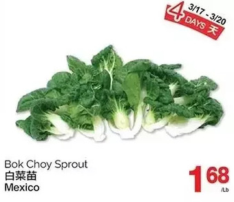 T&T Supermarket Bok choy sprout offer