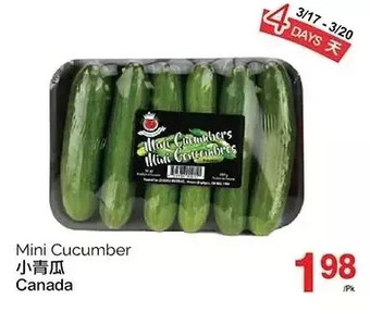 T&T Supermarket Mini cucumber offer