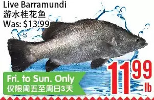 Bestco Food Mart Live barramundi offer