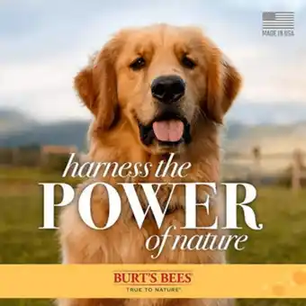 Petland Burt's bees oatmeal conditioner offer