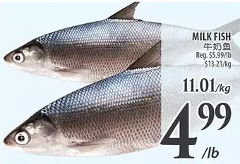 Al Premium Food Mart Milk fish offer