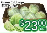 Ample Food Market Green cabbage offer