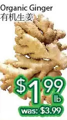 Ample Food Market Organic ginger offer