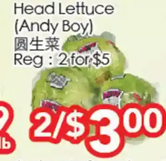 Superking Supermarket Head lettuce (andy boy) offer