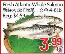 Hong Tai Supermarket Fresh atlantic whole salmon offer