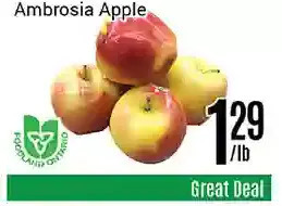 Nations Fresh Foods Ambrosia apple offer