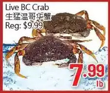 Hong Tai Supermarket Live bc crab offer