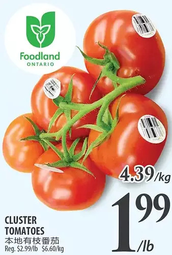 Al Premium Food Mart Cluster tomatoes offer