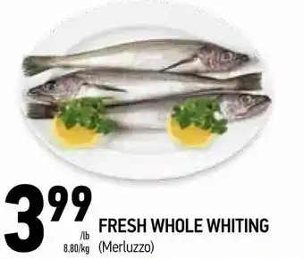 Coppa's Fresh Market Fresj whole whiting offer