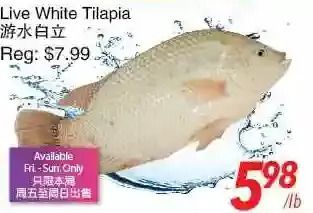 Foody World Live white tilapia offer