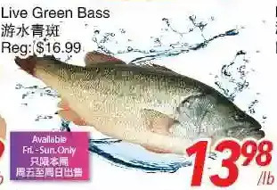 Foody World Live green bass offer