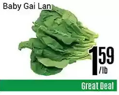 Nations Fresh Foods Baby gai lan offer