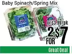 Nations Fresh Foods Baby spinach/spring mix offer